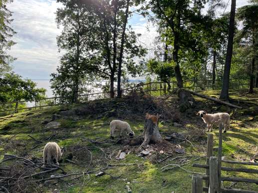Aggiunta una foto a una posizione