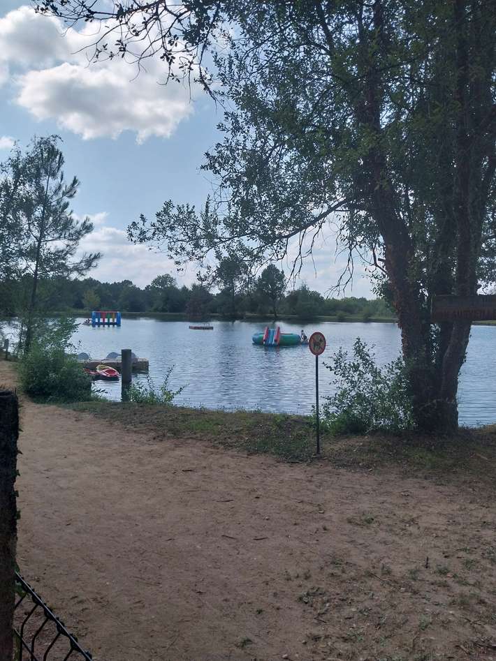 Le Chêne du lac