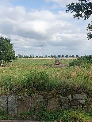 Naturhof Ohlrogge