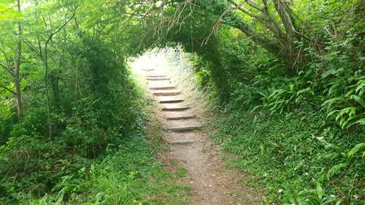 Added a photo to a location