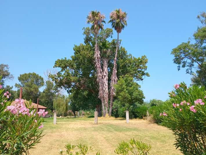 Camping Ficajole