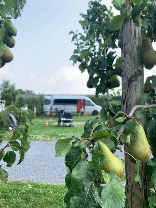 Een foto toegevoegd aan een locatie