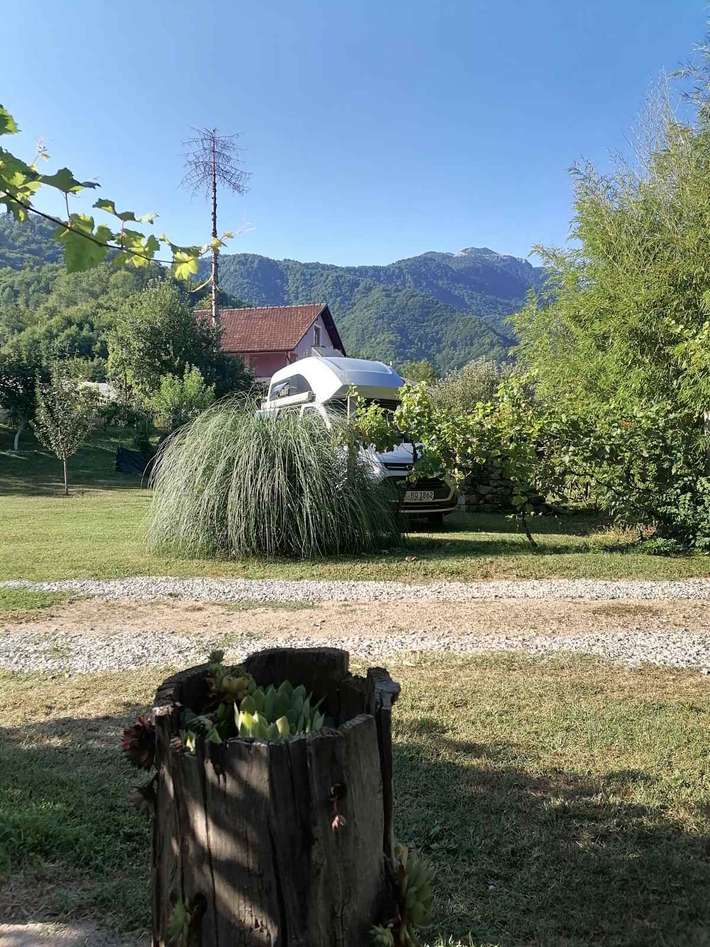 Petar's Garden View
