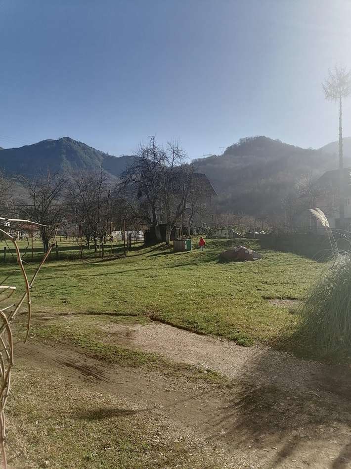 Petar's Garden View