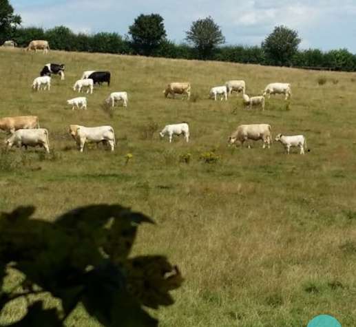 Aggiunta una foto a una posizione