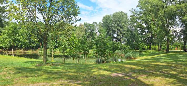 Teich Stellplätze Mautern
