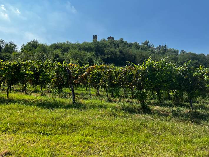 Azienda Agricola Ferrari Dario e Alberto