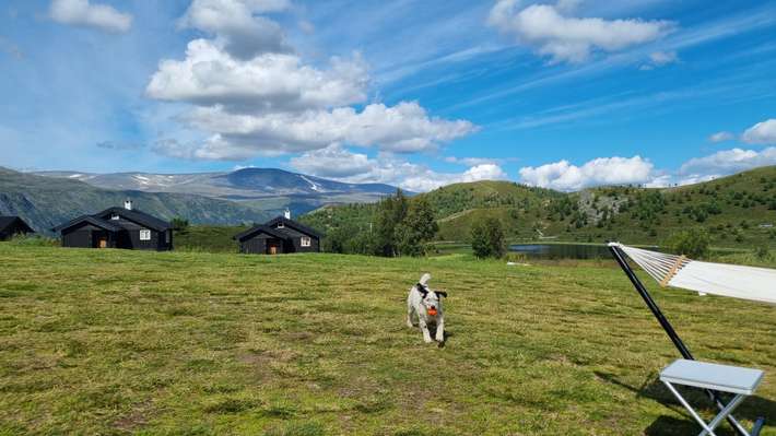 Raubergstulen Motell & Camping