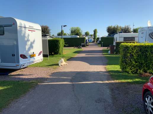 Een foto toegevoegd aan een locatie