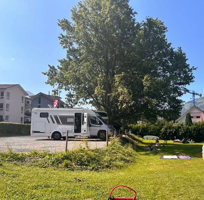 Seematt, Lauerz