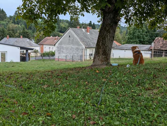 Zöld Zóna Lispe Camping