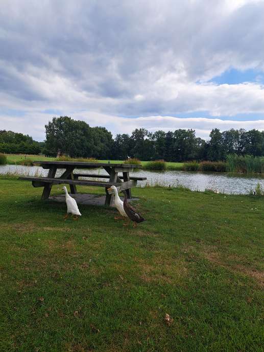Een foto toegevoegd aan een locatie
