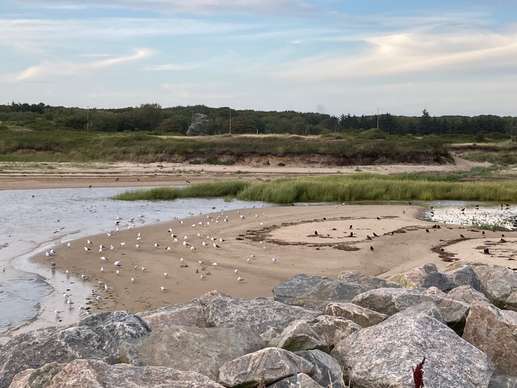 Een foto toegevoegd aan een locatie