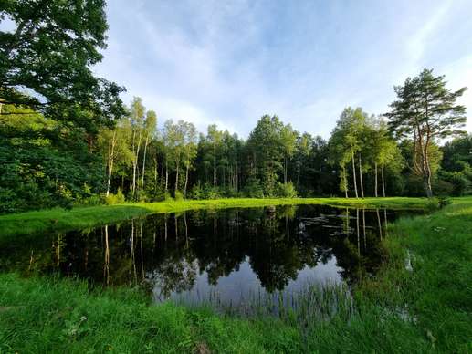 Een foto toegevoegd aan een locatie