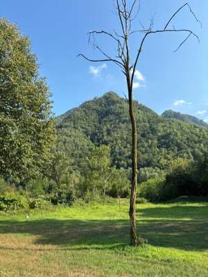 Aggiunta una foto a una posizione
