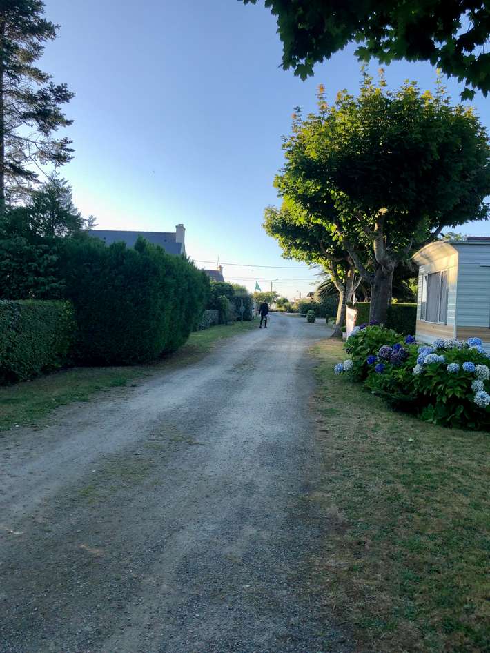 les Macareux