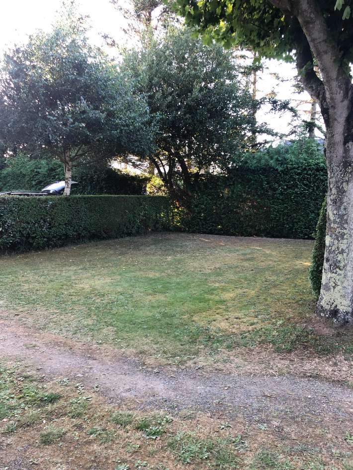 les Macareux