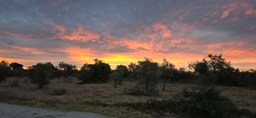 Aggiunta una foto a una posizione