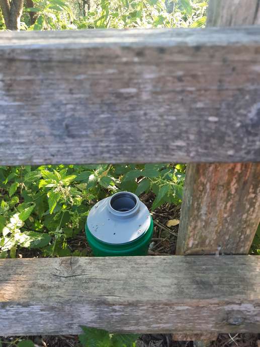 Added a photo to a location