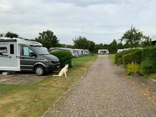 Een foto toegevoegd aan een locatie