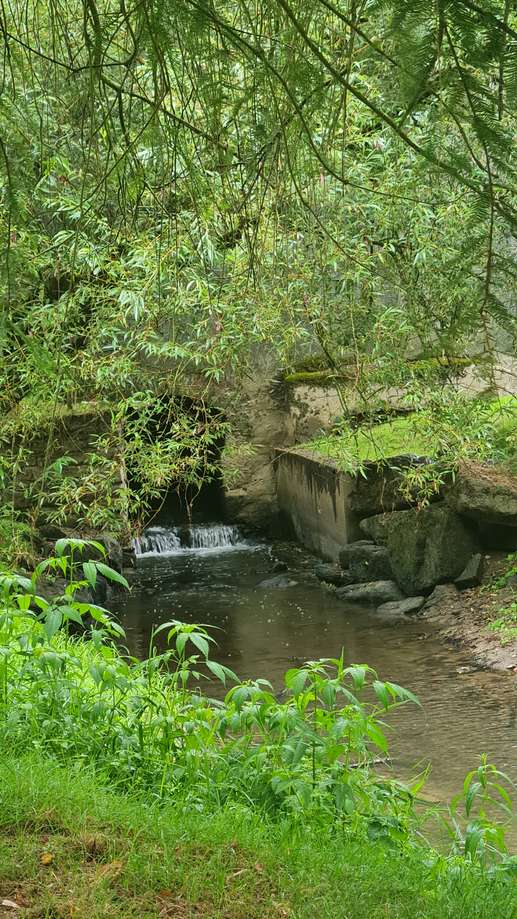 Added a photo to a location