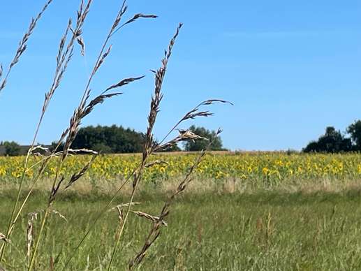 Aggiunta una foto a una posizione