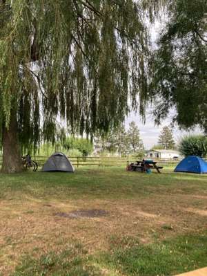 Added a photo to a location