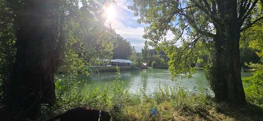 Aggiunta una foto a una posizione