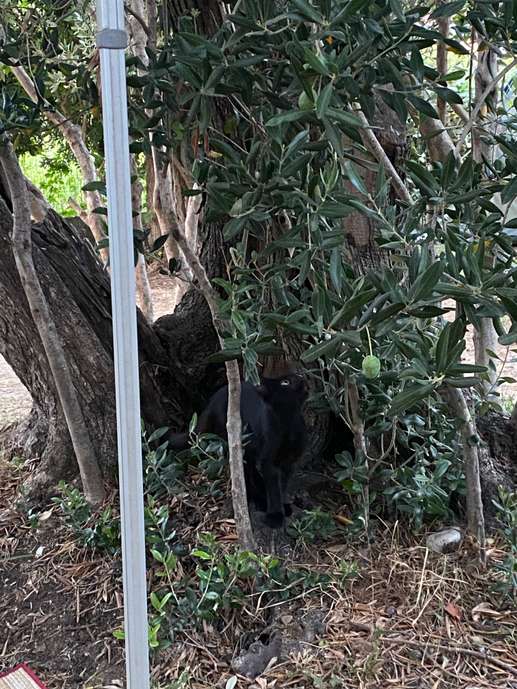 Aggiunta una foto a una posizione