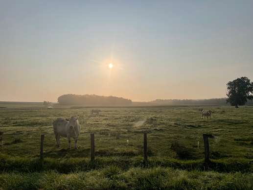 Einem Ort wurde ein Foto hinzugefügt