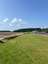 Ballum Hede