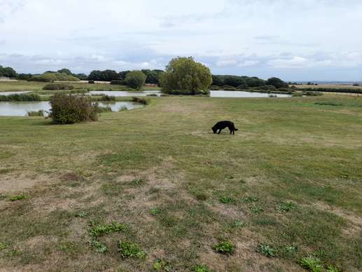 Added a photo to a location