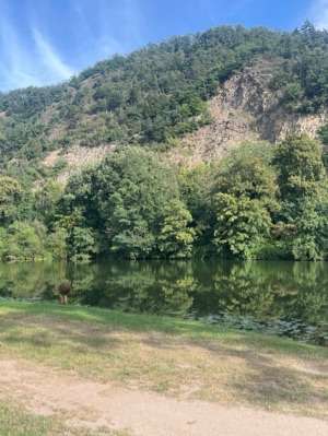 Added a photo to a location