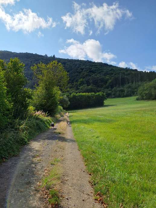Added a photo to a location