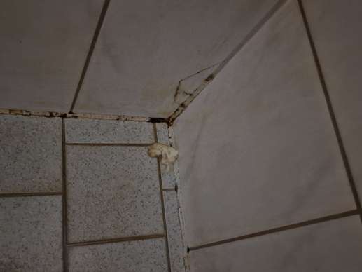 Añadió una foto a una ubicación