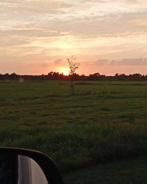 Added a photo to a location
