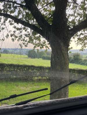 Added a photo to a location