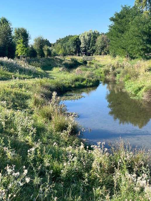 Een foto toegevoegd aan een locatie