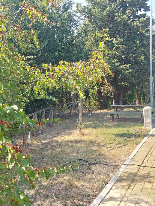 Aggiunta una foto a una posizione