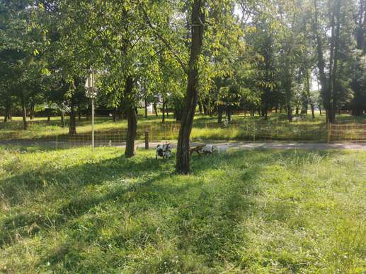 Een foto toegevoegd aan een locatie