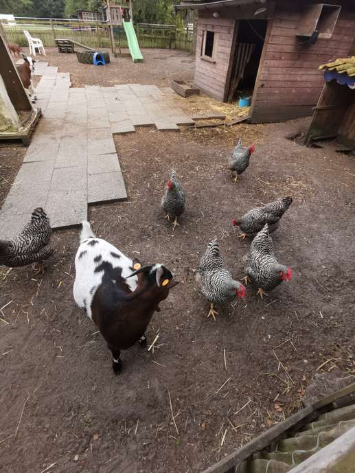 Een foto toegevoegd aan een locatie