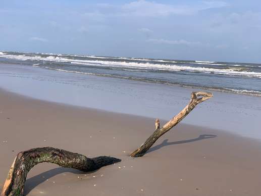Een foto toegevoegd aan een locatie