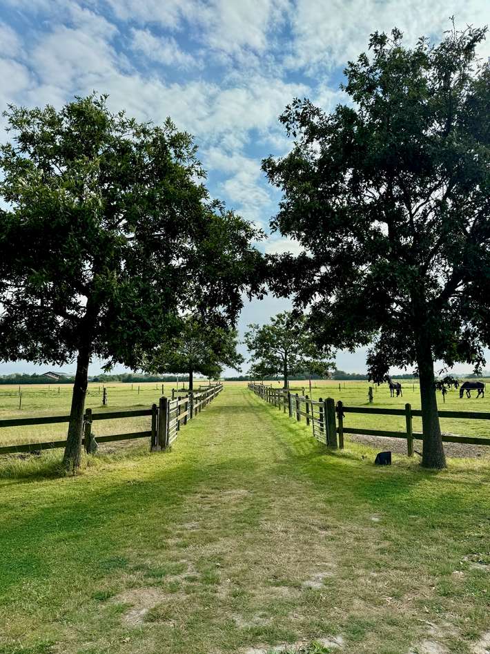 Camping Hakehoeve