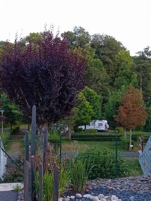 Aggiunta una foto a una posizione