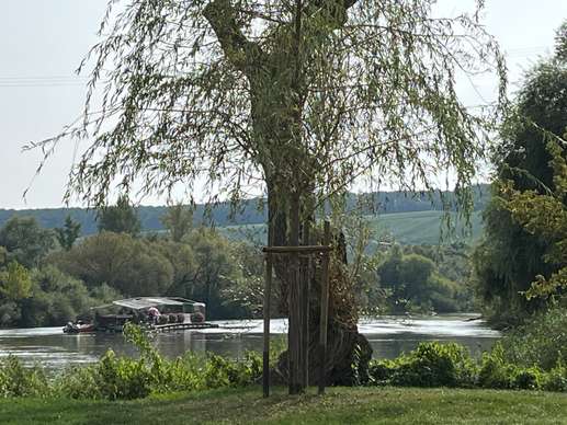 Added a photo to a location