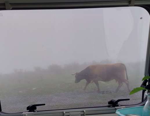 Een foto toegevoegd aan een locatie