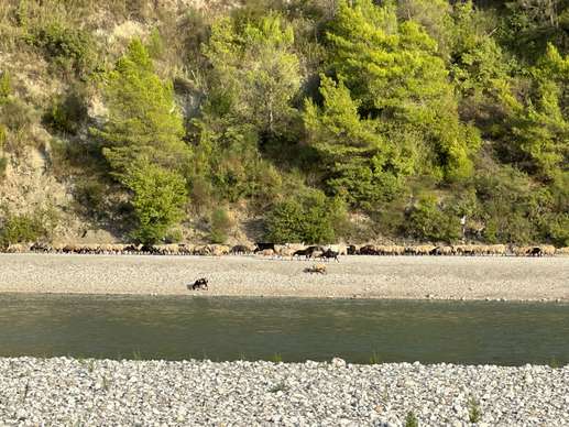 Added a photo to a location