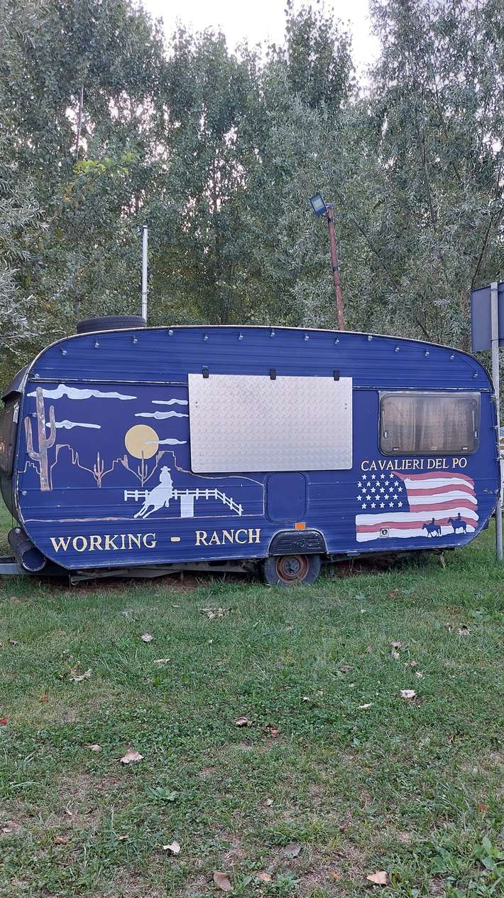 Working ranch 