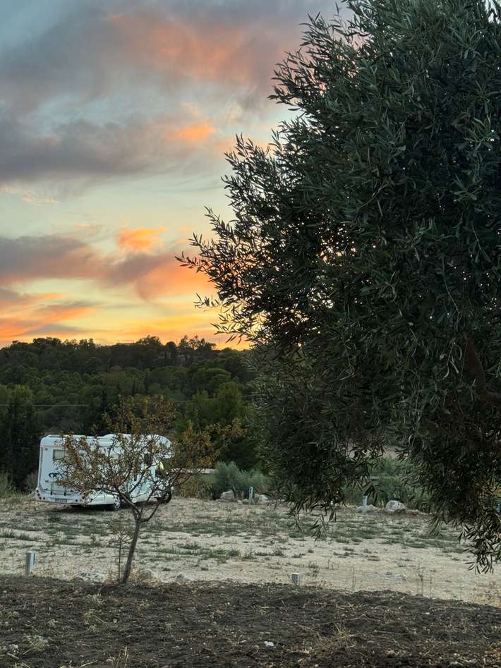 Agricampeggio u pantanu