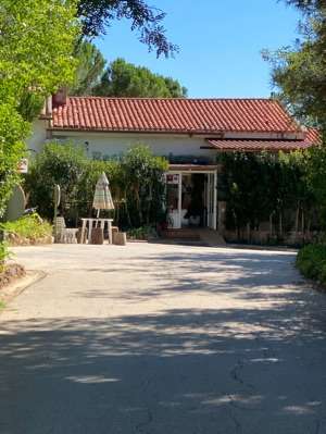 Camping Pantapino